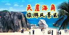 插入大肥屄视频海南三亚-天崖海角旅游风景区